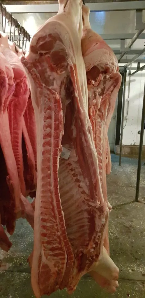 фотография продукта свинина в полутушах