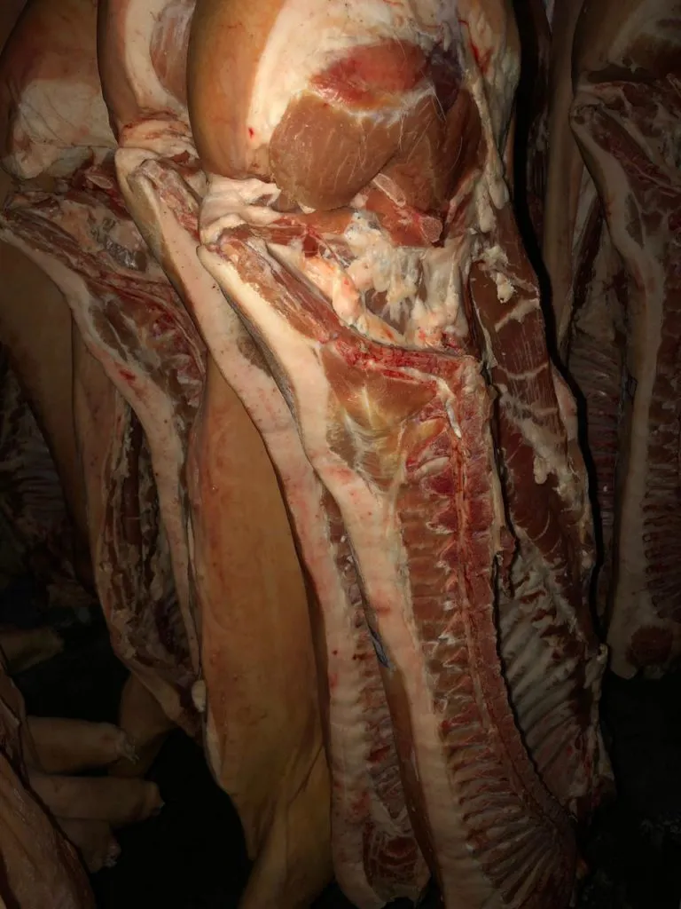 фотография продукта Свинина оптом от производителя