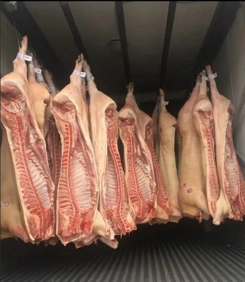 мясо свинина в Перми и Пермском крае