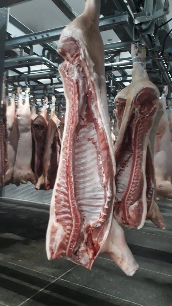 мясо свинина, полутуши ii категория в Перми и Пермском крае 2