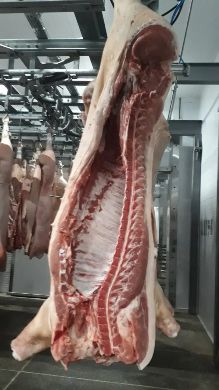 мясо свинина, полутуши ii категория в Перми и Пермском крае
