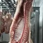 мясо свинина, полутуши ii категория в Перми и Пермском крае