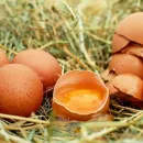 В краевом Минсельхозе считают, что роста цен на яйцо в Пермском крае из-за пожара и гибели кур на птицефабрике "Комсомольская" не ожидается