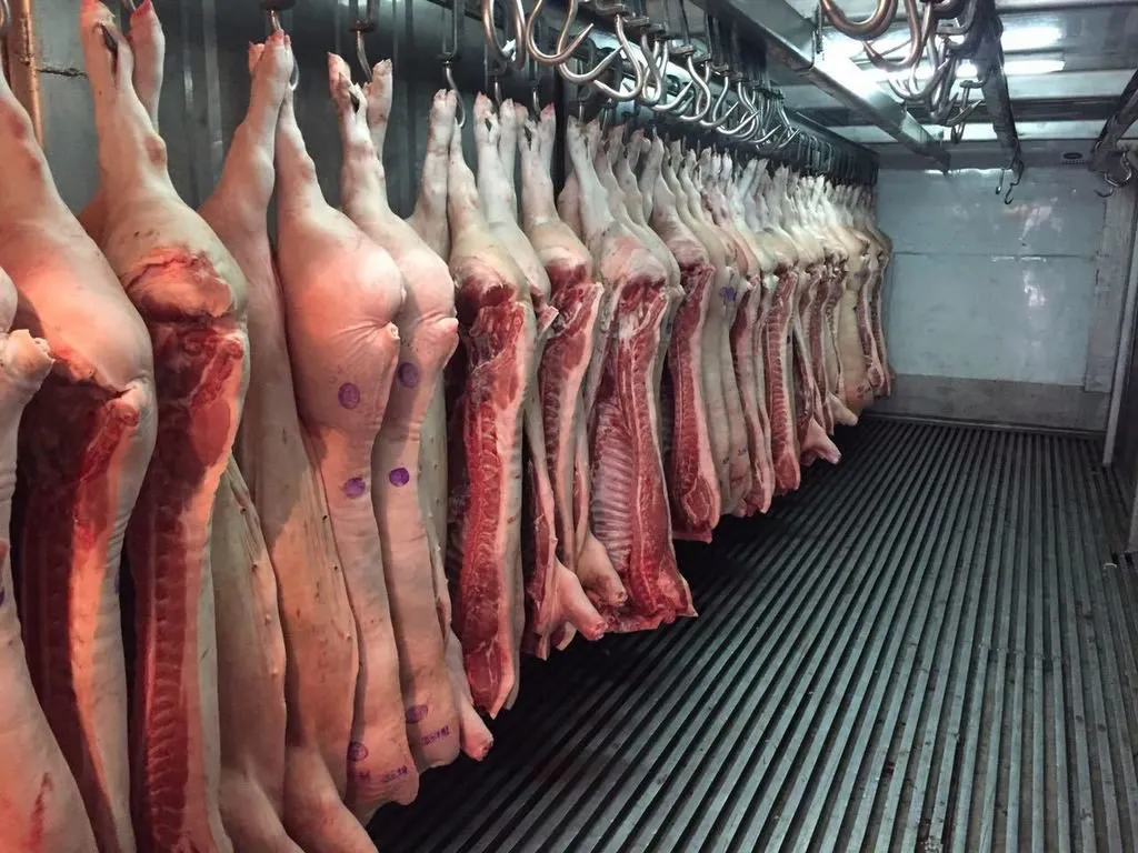 мясо свинины в полутушах в Перми
