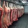 мясо свинины в полутушах в Перми