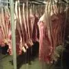 свинина оптом, от производителя, гост в Перми
