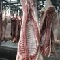 мясо свинина, полутуши ii категория в Перми и Пермском крае 2